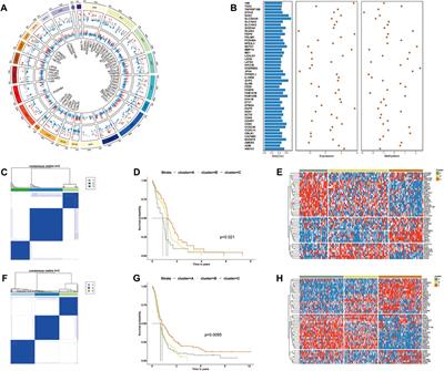 Regulatory pattern of abnormal promoter CpG island methylation in the glioblastoma multiforme classification